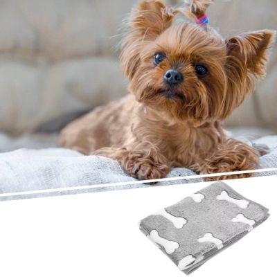 couverture-chien-os-gris