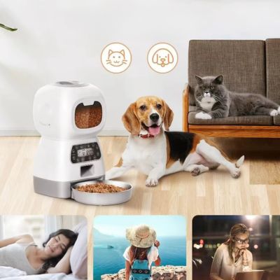 distributeur-de-croquettes-pour-chien-automatique