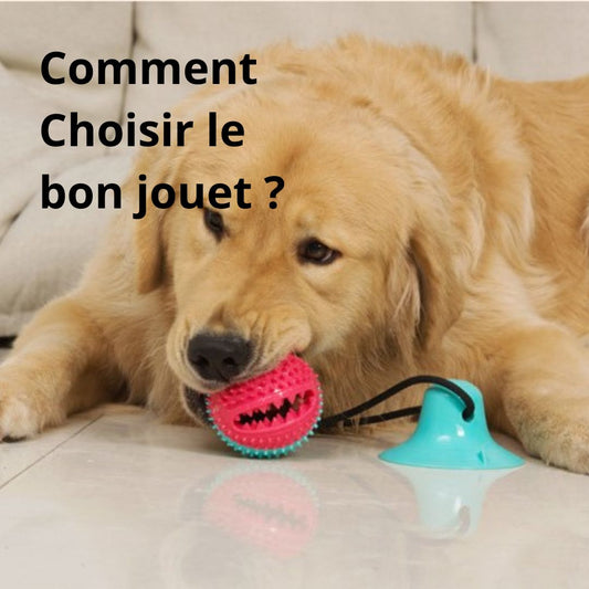 Ebook - Comment bien choisir ces jouets