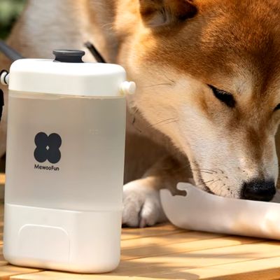 gourde-pour-chien-blanc-hydratation