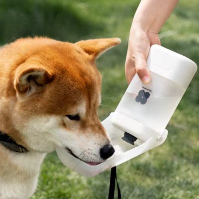 gourde-pour-chien-blanc