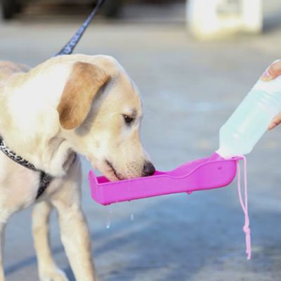 gourde-pour-chien-rose-hydratation