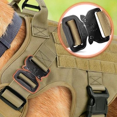 harnais-anti-traction-chien-attache-avant