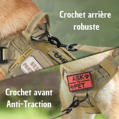 harnais-anti-traction-chien-crochet