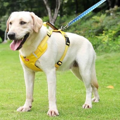 harnais-anti-traction-chien-jaune-grand