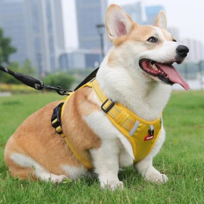 harnais-anti-traction-chien-jaune-moyen