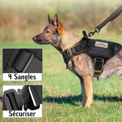 harnais-anti-traction-chien-noir-sangle
