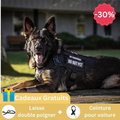 Harnais anti traction chien | WalkGuard™
