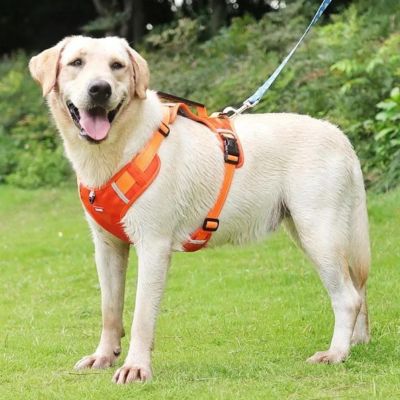 harnais-anti-traction-chien-orange-grand