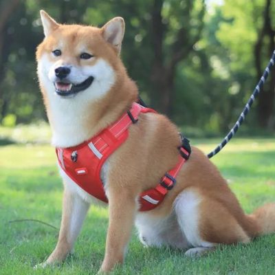 harnais-anti-traction-chien-rouge-moyen