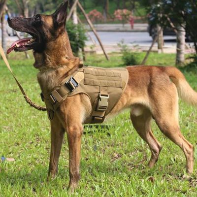 harnais-anti-traction-chien-vert