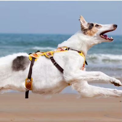 harnais-anti-traction-tropical-liberte