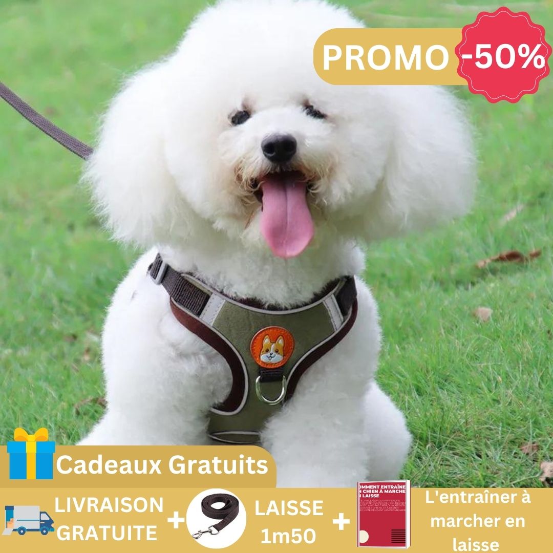 Harnais Anti-traction Pour Chien Petit/moyen Avec Laisse - Rembourré, Réfléchissant, Confortable Pour Promenades Et Courses (Beige, XS)