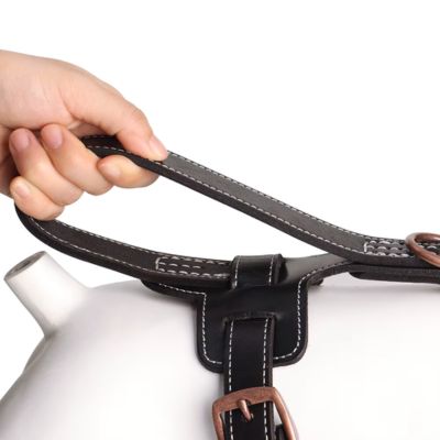 harnais-chien-cuir-poigner