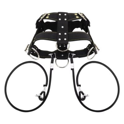 harnais-de-traction-chien-noir-entrainement