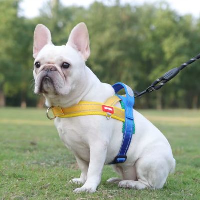 harnais-en-t-jaune-petit