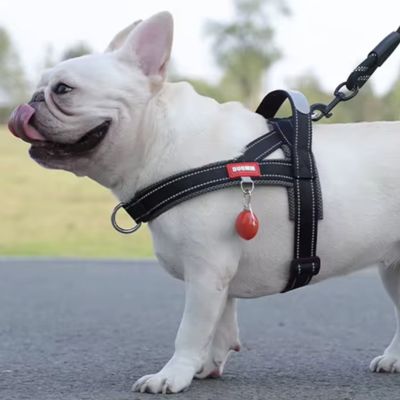 harnais-en-t-noir-petit