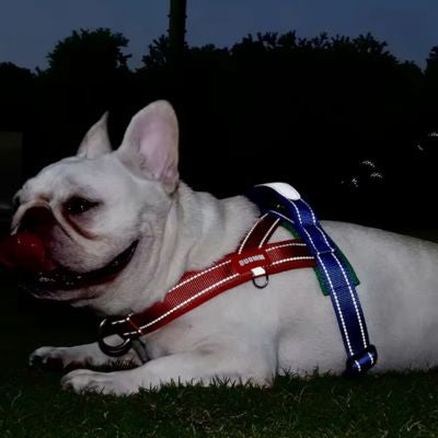 harnais-en-t-reflechissant