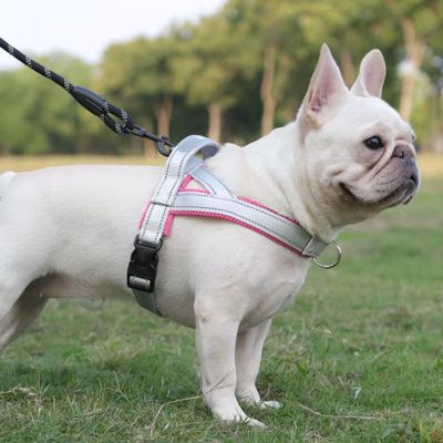 harnais-en-t-rose-petit