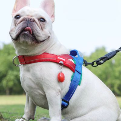 harnais-en-t-rouge-petit