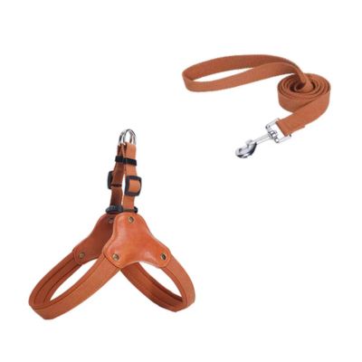 harnais-en-y-brun-avec-laisse