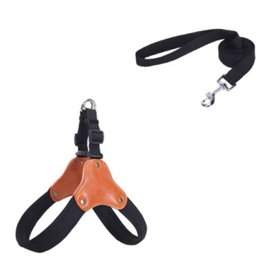 harnais-en-y-noir-avec-laisse