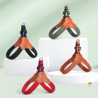 harnais-en-y-quetre-couleur