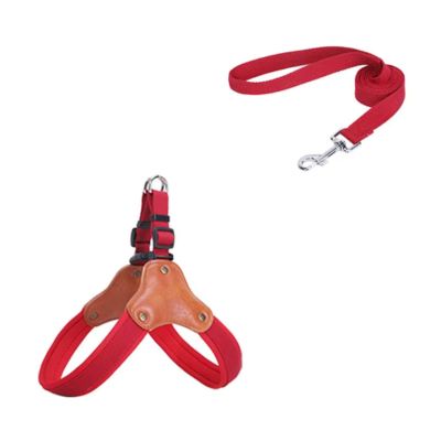 harnais-en-y-rouge-avec-laisse