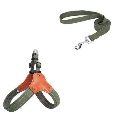 harnais-en-y-vert-avec-laisse