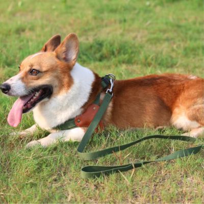 harnais-en-y-vert-confort