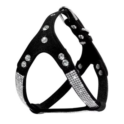 harnais-petit-chien-noir-strass