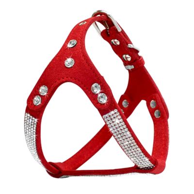 harnais-petit-chien-rouge-strass