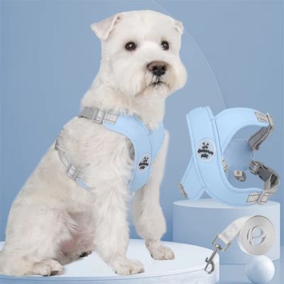harnais-pour-chien-bleu