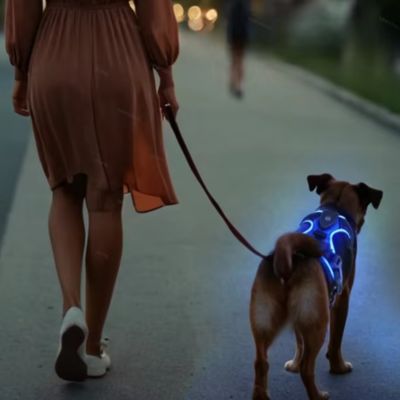 harnais-pour-chien-lumineux-promenade