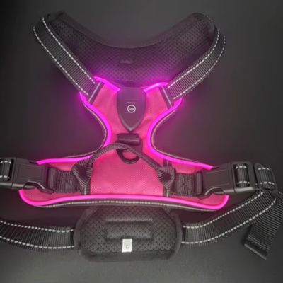 harnais-pour-chien-lumineux-rose