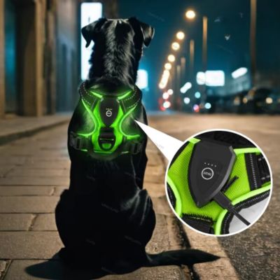 harnais-pour-chien-lumineux-vision