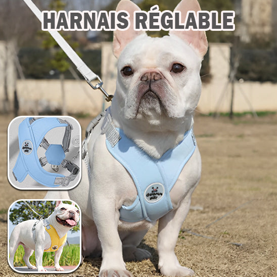 harnais-pour-chien-reglable