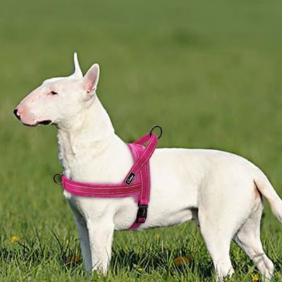 harnais-pour-chien-rose