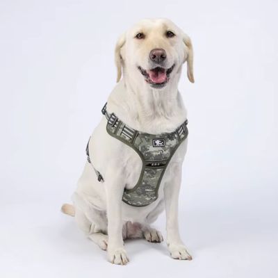 harnais-pour-chien-y-tactique-camouflage