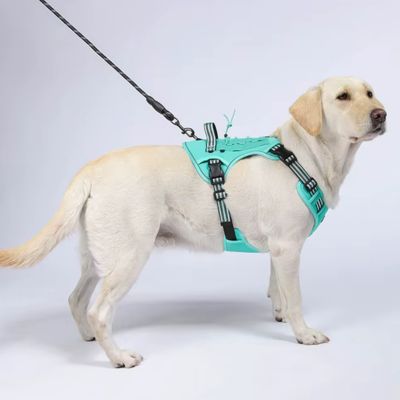 harnais-pour-chien-y-tactique-en-laisse