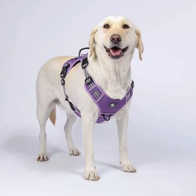 harnais-pour-chien-y-tactique-mauve