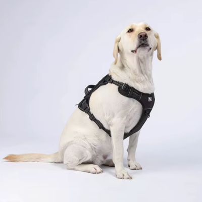 harnais-pour-chien-y-tactique-noir