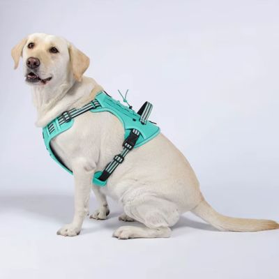 harnais-pour-chien-y-tactique-vert-clair