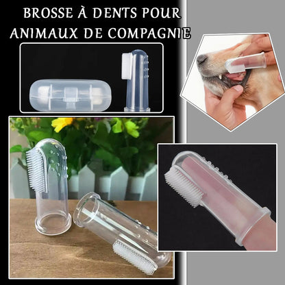 Brosse a dent chien | CleanSmile™