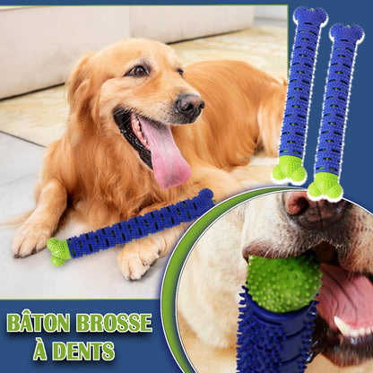 jouet-pour-chien-bâton
