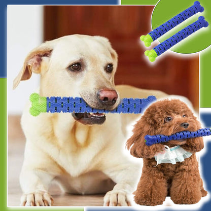 jouet-pour-chien-dentaire