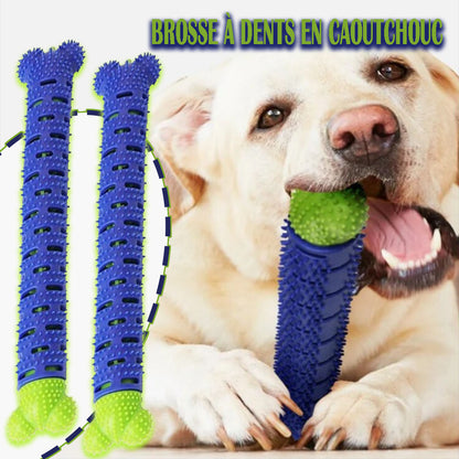 jouet-pour-chien-dentition