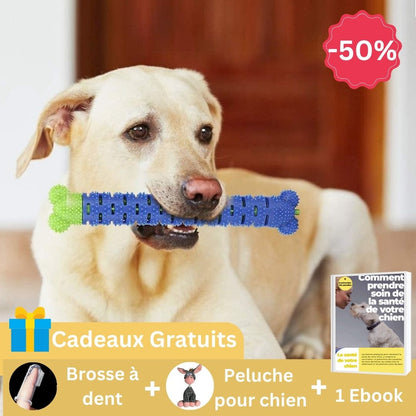 jouet-pour-chien-promo