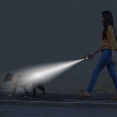 laisse-chien-lumiere-led