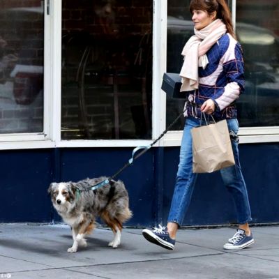 laisse-chien-main-libre-promenade